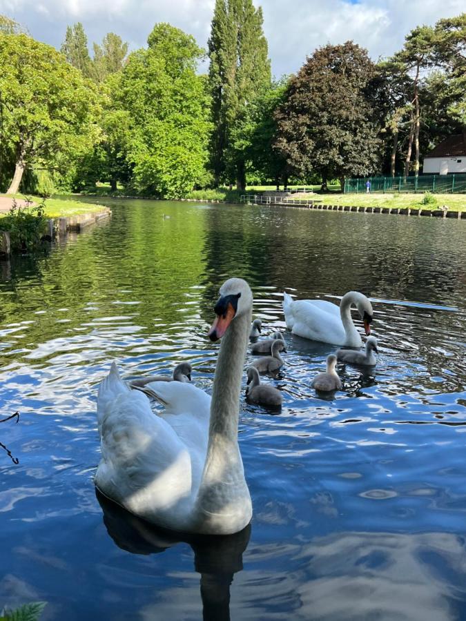 Beddington Park Lodge East Wallington Exteriér fotografie