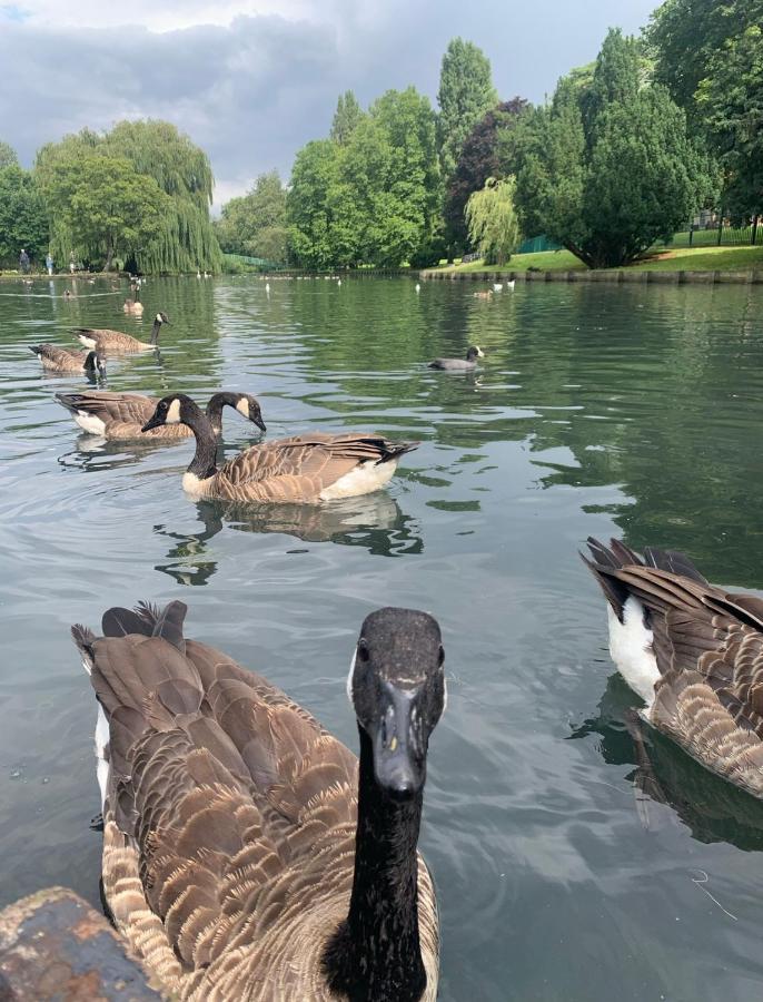 Beddington Park Lodge East Wallington Exteriér fotografie
