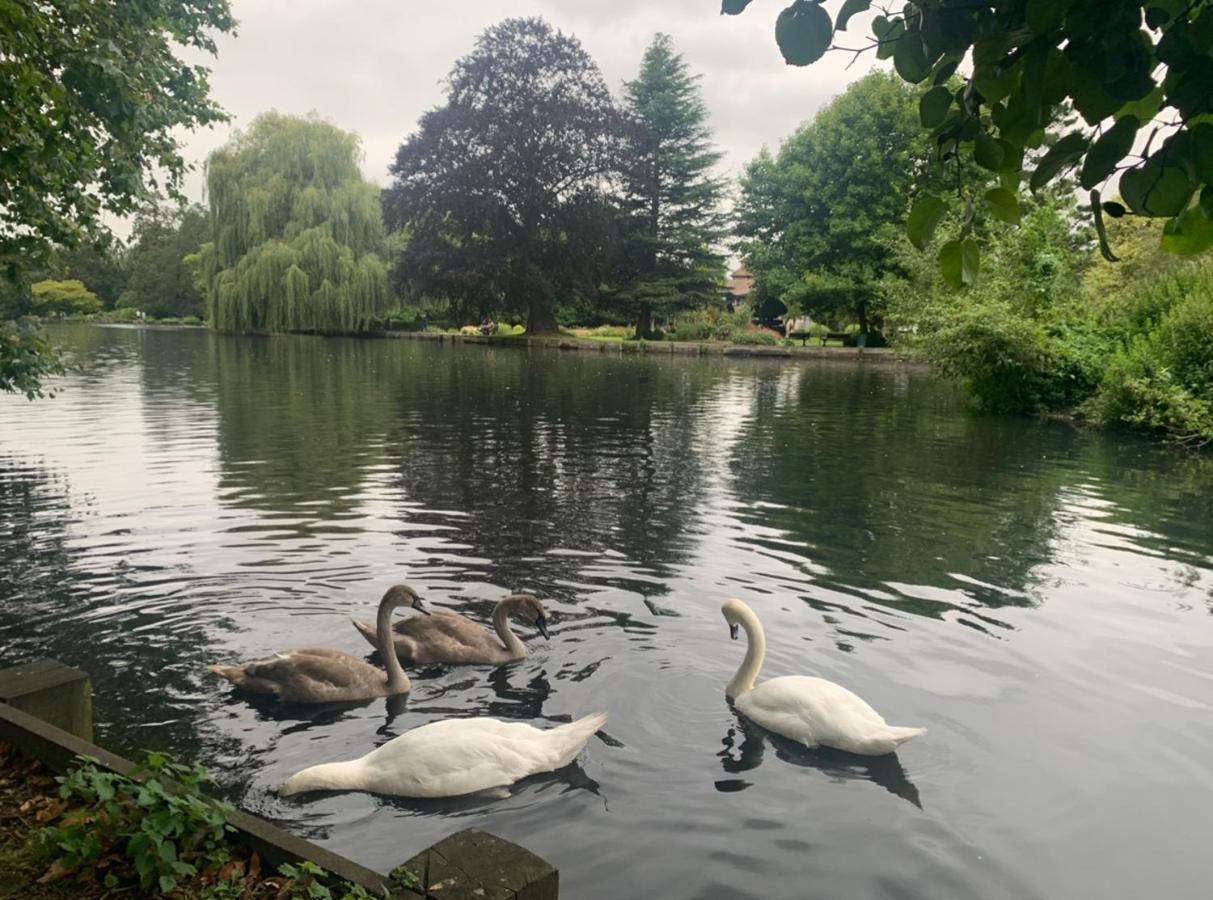 Beddington Park Lodge East Wallington Exteriér fotografie