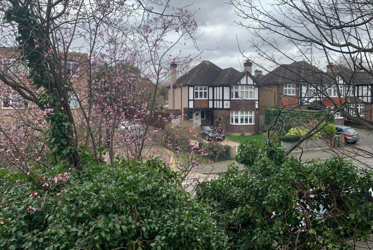 Beddington Park Lodge East Wallington Exteriér fotografie